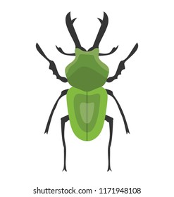 
Stag beetle with two arms containing sting
