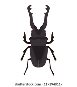 
Stag beetle with two arms containing sting
