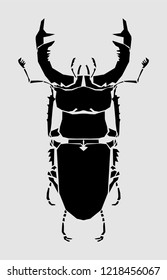 Stag beetle, vector illustration