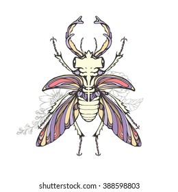 stag beetle vector illustration