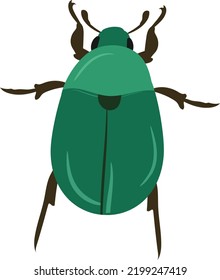 Stag Beetle Vector Illustration from Top Angle
