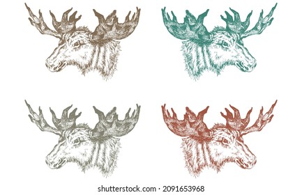 Stag Deer Head Sketch Vector Illustration. Hand Drawn Moose Head Isolated On A White Background
