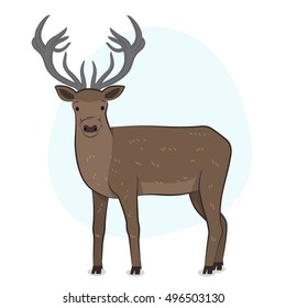 Stag (Deer) Illustration