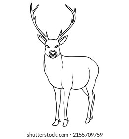 stag line vector illustration,isolated on white background,top view