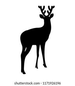 
Stag silhouette on white background
