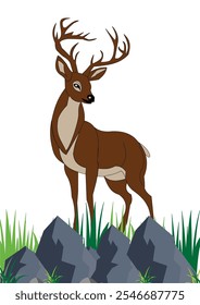 Stag vector, Stag Illustration, Stag with grass, Stag with stones