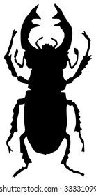 stag-beetle
