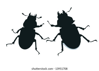 stag-beetle female