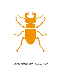 stag-beetle icon vector EPS 10, abstract sign flat design,  illustration modern isolated badge for website or app - stock info graphics