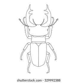 stag-beetle. Lucanus cervus. Sketch of stag-beetle. stag-beetle isolated on white background. stag-beetle Design for coloring book.  hand-drawn stag-beetle. Vector illustration