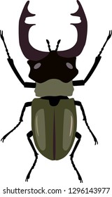 Stag-beetle on a white backgroud
