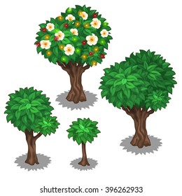 The stage of growth and development of a flowering fruit tree. Landscaping, plants and gardens. Vector illustration.
