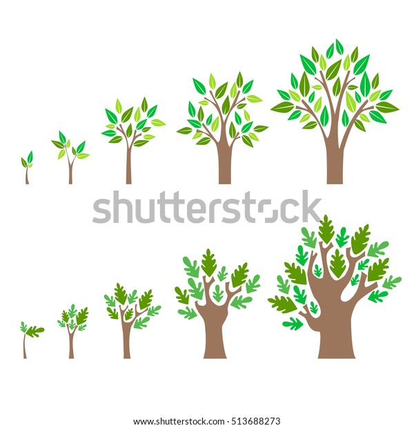 ツリーセットのステージの成長 コンセプト開発フラットデザインスタイル 種子と葉のベクターイラスト オークの生育図 リンゴの木 人生の五段階 のベクター画像素材 ロイヤリティフリー