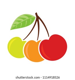 The stage of maturation of the cherries. Cherry icon. Ripe and unripe cherries