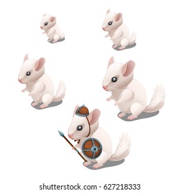 The stage of maturation and growth of mouse albino isolated on white background. Fantasy animals. Vector cartoon close-up illustration.