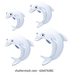 The stage of maturation and growth of white or polar dolphin isolated on white background. Vector cartoon close-up illustration.