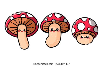The Stage Of Mushroom Illustration