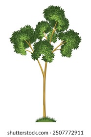 Stage of tree growth. Large tree growth with green leaf and branches. Illustration of business cycle development