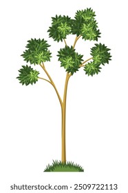 Estágio de crescimento da árvore. Grande crescimento de árvores com folhas verdes e ramos. Ilustração do desenvolvimento do ciclo econômico