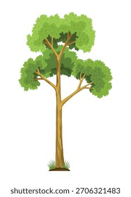 Etapa de crecimiento del árbol. Grande crecimiento de árboles con hojas y ramas verdes. Ilustración del desarrollo del ciclo económico