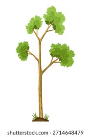 Etapa de crecimiento del árbol. Grande crecimiento de árboles con hojas y ramas verdes. Ilustración del desarrollo del ciclo económico