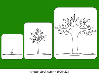 stage of tree growth from seed to fruiting tree