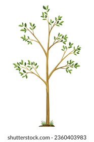 Stage of tree growth. Small tree growth with green leaf and branches. Illustration of business cycle development