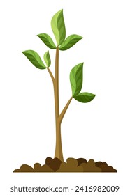 Etapa del crecimiento de los árboles. Pequeño crecimiento de árboles con hojas y ramas verdes. Ilustración del desarrollo del ciclo económico