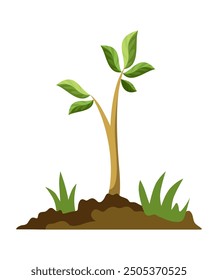 Stage of tree growth. Small tree growth with green leaf and branches. Illustration of business cycle development