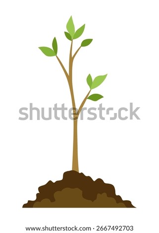 Stage of tree growth. Small tree growth with green leaf and branches. Illustration of business cycle development