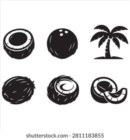 Stages of coconut development and palm tree illustration