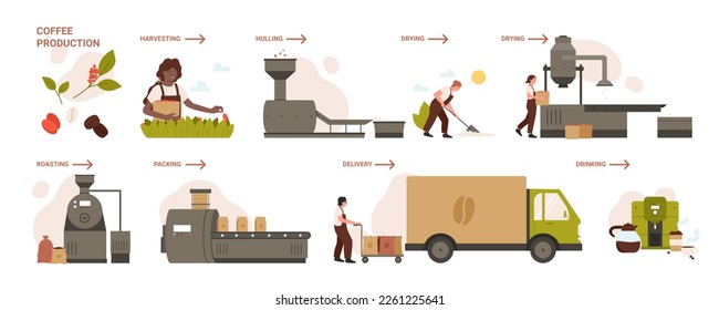 Stages of coffee production infographic set vector illustration. Cartoon scenes of factory process with harvesting, hulling and drying, roasting coffee beans and packing on conveyor for delivery