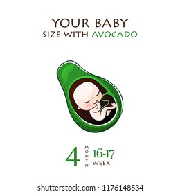 Stages of development of pregnancy, the size of the embryo for weeks. Human fetus inside the womb 1 to 9 months.Vector illustrations