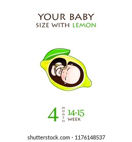 Stages of development of pregnancy, the size of the embryo for weeks. Human fetus inside the womb 1 to 9 months.Vector illustrations