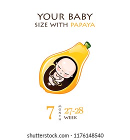 Stages of development of pregnancy, the size of the embryo for weeks. Human fetus inside the womb 1 to 9 months.Vector illustrations