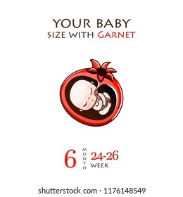 Stages of development of pregnancy, the size of the embryo for weeks. Human fetus inside the womb 1 to 9 months.Vector illustrations