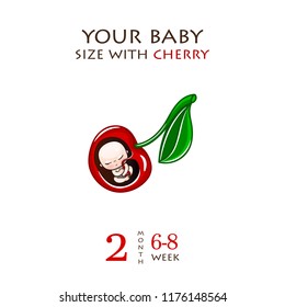 Stages of development of pregnancy, the size of the embryo for weeks. Human fetus inside the womb 1 to 9 months.Vector illustrations