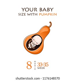 Stages of development of pregnancy, the size of the embryo for weeks. Human fetus inside the womb 1 to 9 months.Vector illustrations