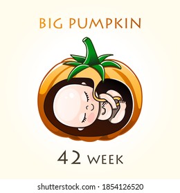 Stages of development of pregnancy, the size of the embryo for weeks. Human fetus inside the uterus. 15 week of 42 weeks of pregnancy. Vector illustrations pumpkin