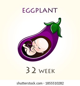 Stages of development of pregnancy, the size of the embryo for weeks. Human fetus inside the uterus. 32 week of 42 weeks of pregnancy. Vector illustrations eggplant