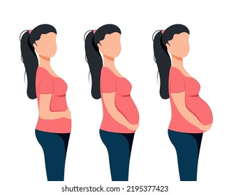 Stages of a girl's pregnancy. From 3 to 9 months of pregnancy. Intervals for fetal enlargement. A character without a face. Vector stock illustration.