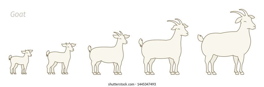 346 Goat animation Images, Stock Photos & Vectors | Shutterstock