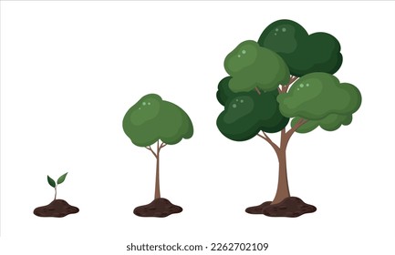 Stages of green tree growth. Small and big. Garden. Spring. Blooming. Foliage. Colorful cartoon illustration. White background. Vector texture. Flat art. Nature.