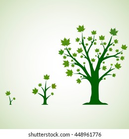 The stages of growing shoots. Vector illustration