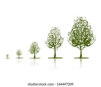 Stages of growing tree for your design