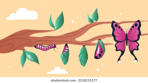 Stages of growth of butterfly. Nature, flora and fauna. Aesthetics and elegance. Poster or banner for website. Symbol of forest and springtime. Outdoor and biology. Cartoon flat vector illustration