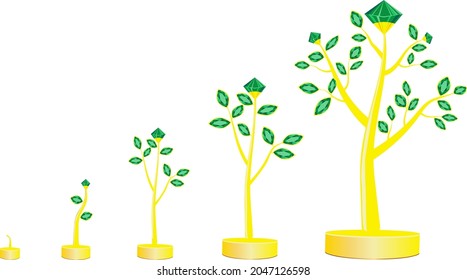 Etapas de crecimiento del árbol esmeralda