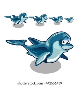 Stages of growth and maturation of dolphins isolated on a white background. Vector illustration.