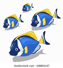 Stages of growth and maturation of fish-surgeon isolated on a white background. Vector illustration.