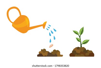 Stages growth of tree from seed. Watering the plants. Germination of a green sprout with leaves. Business cycle development